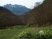 17 Nel bosco radura a prato